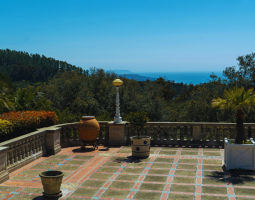 Untitled design - 2026-01-26T131304.418